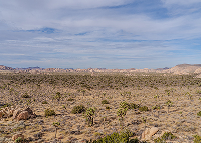 2026 wird zum Härtetest für das Fundraising