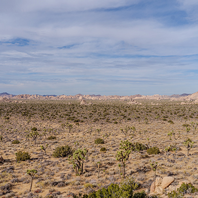 2026 wird zum<br />
Härtetest für das<br />
Fundraising